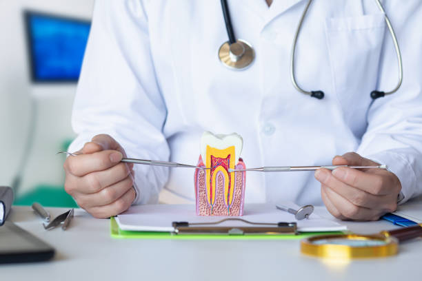 Best Urgent Tooth Repair  in Barberton, OH